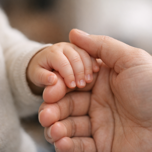 Implantació de l’etapa de 0 a 3 anys